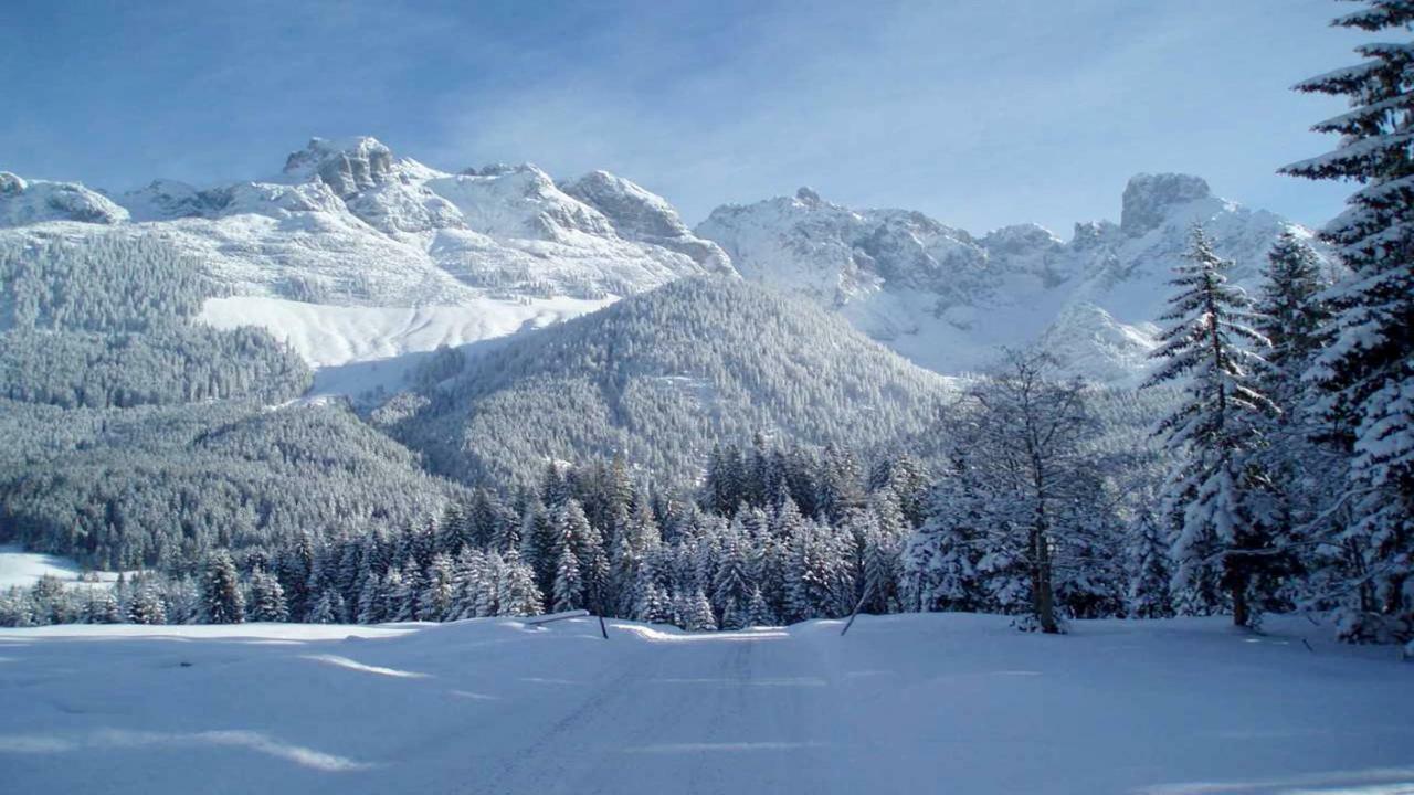 Berg Chalet Annaberg im Lammertal Luaran gambar